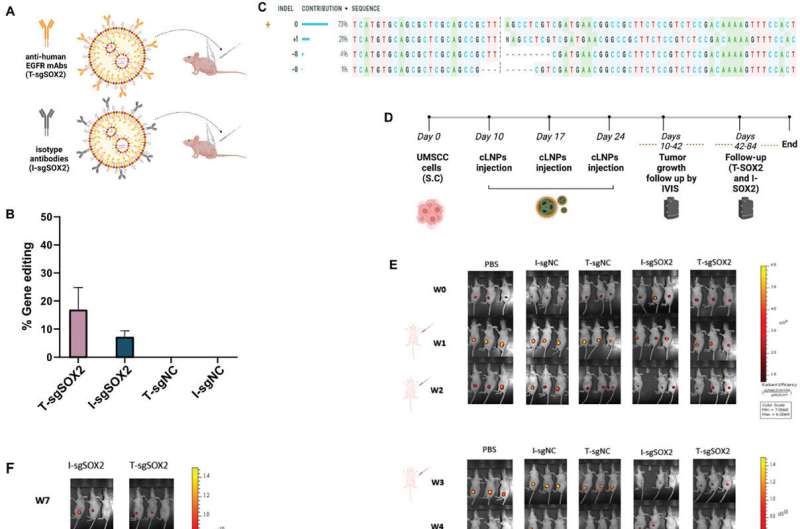 crispr-cuts-gene-from